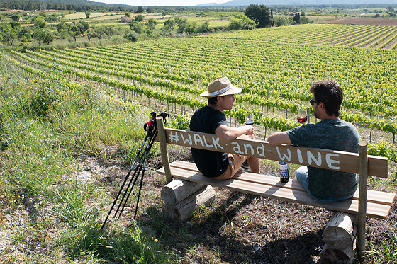 Una visita guiada para 2 en Celler Mas Vicens en Cabra del Camp (Tarragona)