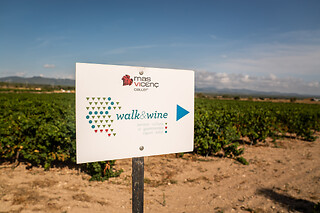 Una visita guiada para 2 en Celler Mas Vicens en Cabra del Camp (Tarragona)
