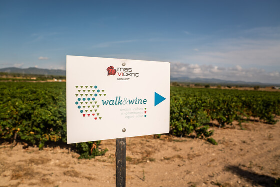 Una visita guiada para 2 en Celler Mas Vicens en Cabra del Camp (Tarragona)