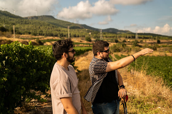Una visita guiada para 2 en Celler Mas Vicens en Cabra del Camp (Tarragona)