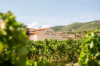 Una visita guiada para 2 en Celler Mas Vicens en Cabra del Camp (Tarragona)