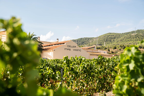 Una visita guiada para 2 en Celler Mas Vicens en Cabra del Camp (Tarragona)