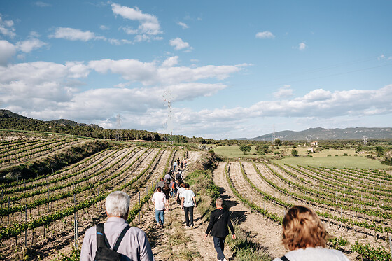 Una visita guiada para 2 en Celler Mas Vicens en Cabra del Camp (Tarragona)
