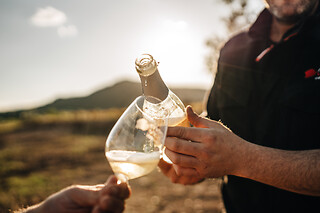 Una visita guiada para 2 en Celler Mas Vicens en Cabra del Camp (Tarragona)