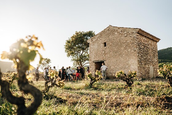 Una visita guiada para 2 en Celler Mas Vicens en Cabra del Camp (Tarragona)