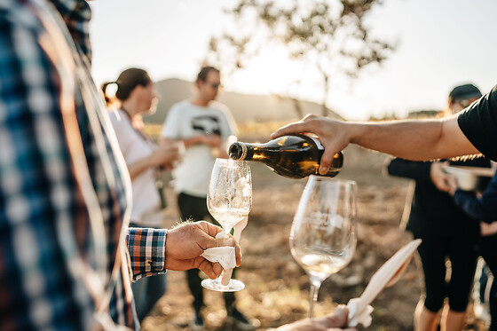 Una visita guiada para 2 en Celler Mas Vicens en Cabra del Camp (Tarragona)
