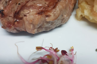Restaurante Jardines Las Conchas en Baza (Granada)