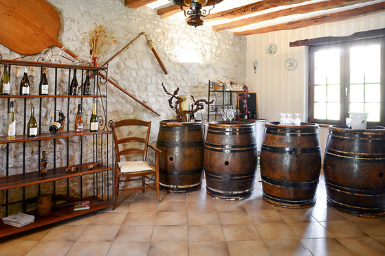 Domaine du Vieil Orme - photo 6