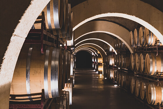 BODEGAS LUZON - photo 0
