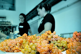 BODEGA PAZO BAIÓN