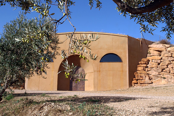 Un desayuno, visita y cata para 1 en Bodega Mas Blanch i Jové en La Pobla de Cérvoles (Lérida)