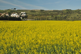 Hotel Empordà**** en Figueres (Girona)