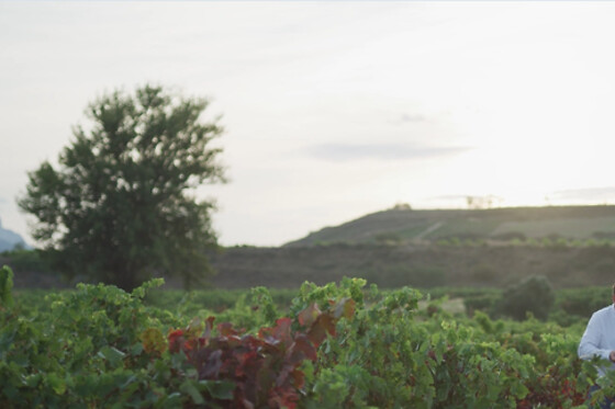 BODEGAS SANTALBA - photo 8