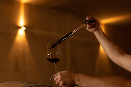 BODEGAS SANTALBA