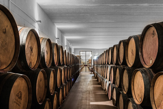BODEGAS SANTALBA - photo 9