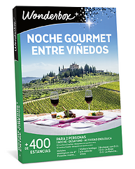 Noche gourmet entre viñedos
