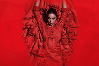 Dos entradas con Menú Tapas para Experiencia Premium en Teatro Flamenco Sevilla, en Sevilla