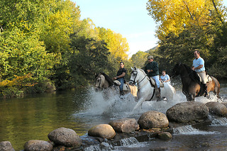 Ruta a caballo en Covarrubias (Burgos)