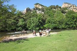 CABALLOS DE LA ARLANZA