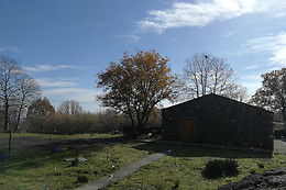 Agriturismo Viola Nel Parco