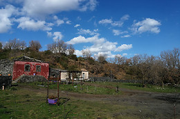 Agriturismo Viola Nel Parco