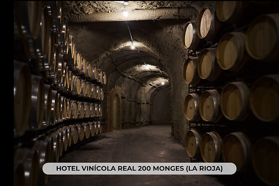 Noche gourmet entre viñedos