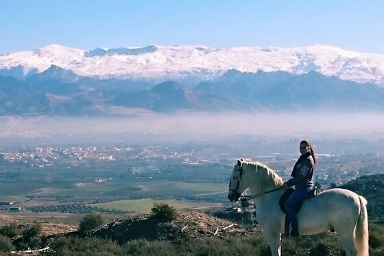 Un paseo tranquilo a caballo para 2 en la Finca Malpasillo en Las Gabias (Granada)