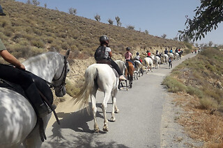 Un paseo tranquilo a caballo para 2 en la Finca Malpasillo en Las Gabias (Granada)
