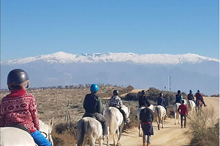 Un paseo tranquilo a caballo para 2 en la Finca Malpasillo en Las Gabias (Granada)