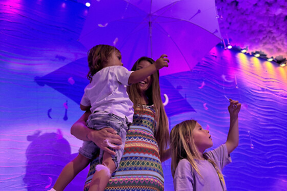 Entrada para 2 adultos + 1 niño al Aura Museum en Alicante