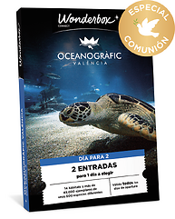 Especial Comunión: Oceanografic Valencia