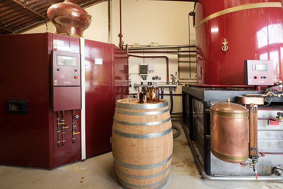 La Ferme de Chez Piché - photo 8