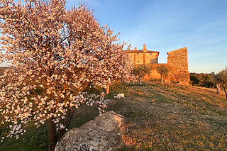Una noche en Suite con desayuno para 2 en Castillo de Corvinos en Albero Alto (Huesca)