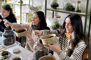 Un taller "Crea tu propio terrario eterno" para 1 en Greenworks Madrid en Madrid