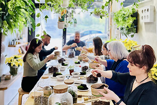 Un taller "Crea tu propio terrario eterno" para 1 en Greenworks Madrid en Madrid