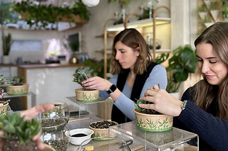 Un taller "Crea tu propio terrario eterno" para 1 en Greenworks Madrid en Madrid