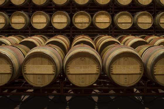 BODEGA MAS LLUNES - photo 7