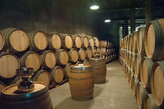 CELLER COOPERATIU GANDESA - photo 4