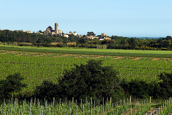 BODEGA MAS LLUNES - photo 9