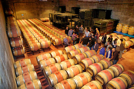 BODEGA MAS LLUNES - photo 0