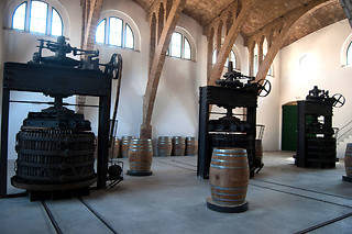 Una visita guiada con degustación para 2 en Celler Cooperatiu Gandesa en Gandesa (Tarragona)