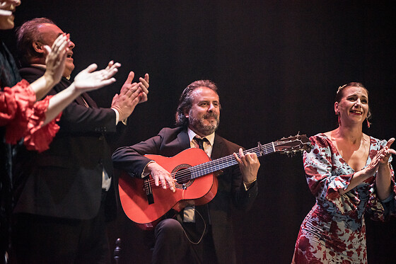 TEATRO FLAMENCO SEVILLA - photo 4