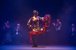Dos entradas con Menú Tapas para Experiencia Premium en Teatro Flamenco Sevilla, en Sevilla