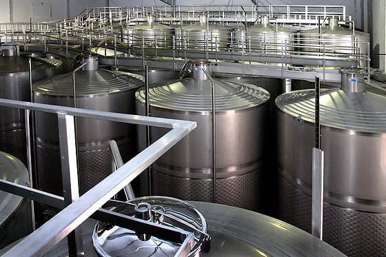 BODEGAS RUIZ TORRES - photo 2