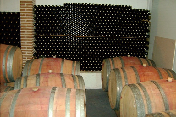 BODEGA ECOLOGICA LUIS SAAVEDRA - photo 3
