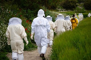 Una actividad de apiturismo para 2 adultos y 1 niño en La Nostra Mel en Pavia (Lleida)