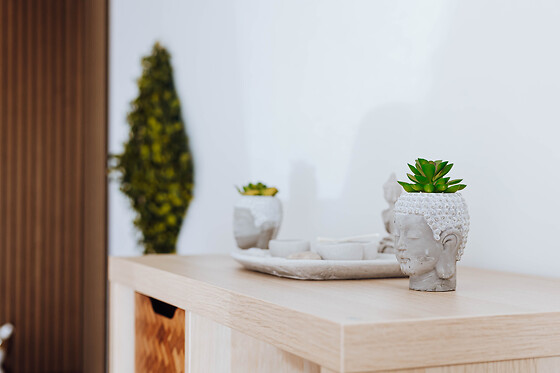 Zen by Water - photo 4
