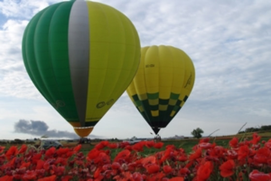 Un vuelo en globo para 1 adulto y 1 niño en Camins de Vent en Lleida