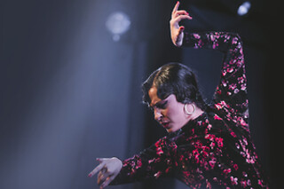 Una entrada a espectáculo de flamenco para 2 adultos y 1 niño (hasta 12 años) en Tablao Flamenco Casa Ana en Granada
