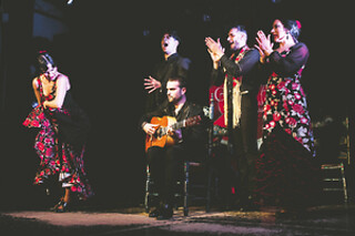 Una entrada a espectáculo de flamenco para 2 adultos y 1 niño (hasta 12 años) en Tablao Flamenco Casa Ana en Granada